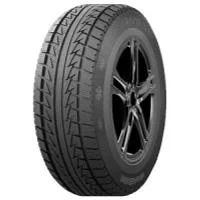 Arivo WINMASTER ARW1 Inverno 205/55 R16 91H