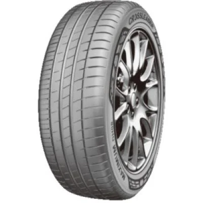 Double Star DH08 195/55 R16 87V