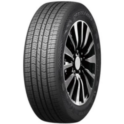 Double Star DSS02 255/70 R18 113T