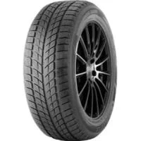 Double Star DW09 245/45 R18 96T