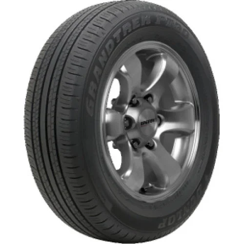 DUNLOP Grandtrek PT30 225/60 R18 100H