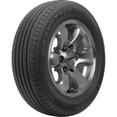 DUNLOP Grandtrek PT30 blk 225/65 R17 102H