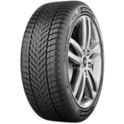 DUNLOP Winter blk 195/65 R15 91T