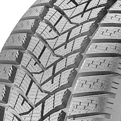 DUNLOP Winter Sport 5 blk 195/55 R16 91H