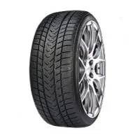 Gripmax Status Pro Winter 335/25 R22 105V