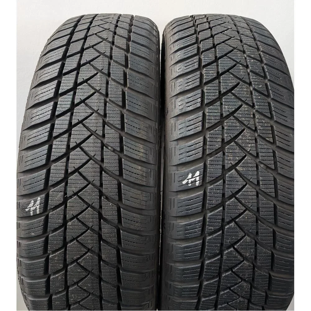 GTRadial GT RADIAL WINTER PRO 2 195/55 R16 91H