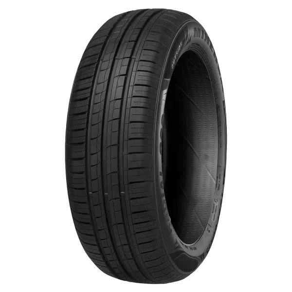 Minerva 209 185/65 R15 88H
