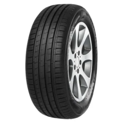 Minerva F209 205/55 R16 91H