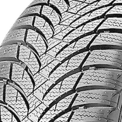 NEXEN Winguard SnowG WH2 195/65 R15 91H