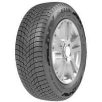 Otani WE1000 195/55 R16 91H