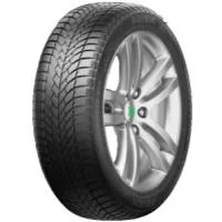 PRINX Winter Excelia 205/60 R16 96H