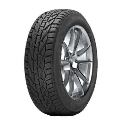 Riken Snow 225/45 R17 91H