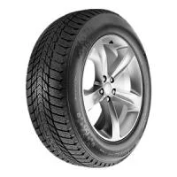 Roadstone Winguard Ice Plus 195/65 R15 95T