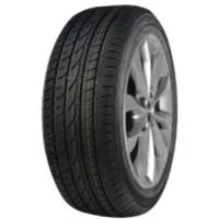 Royal Black Winter 195/65 R15 91T