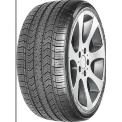 Superia RS100 225/65 R17 102H
