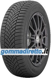 Toyo Observe EWS1 225/55 R17 101V